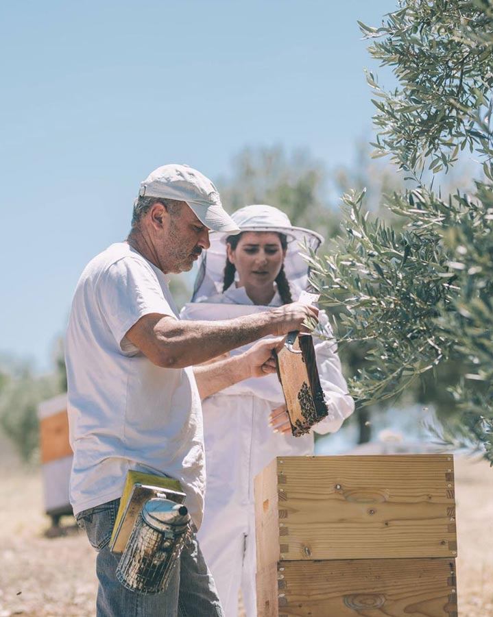 Ermionis | Μελισσοκομία Μπαϊρακτάρη